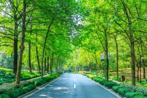 Jalur Alternatif Jakarta Bandung selain Tol Cipularang